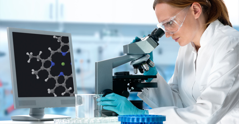 scientist working at the laboratory